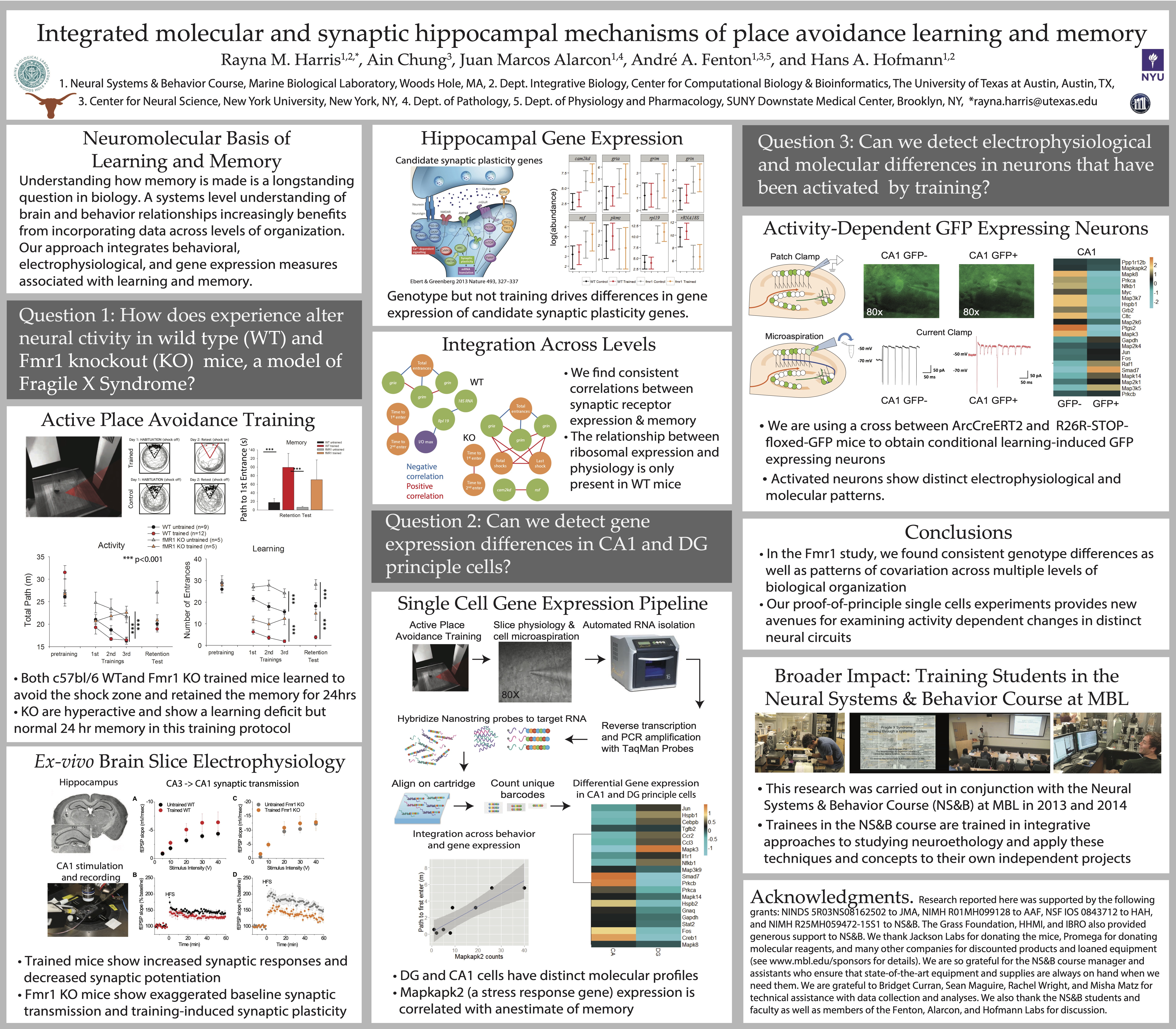 Poster describing the neural and molecular mechanisms associated with learning.